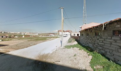 Tripedia